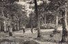 Cacciatori nel bosco, 1936.jpg