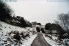 Neve a Monterano.jpg